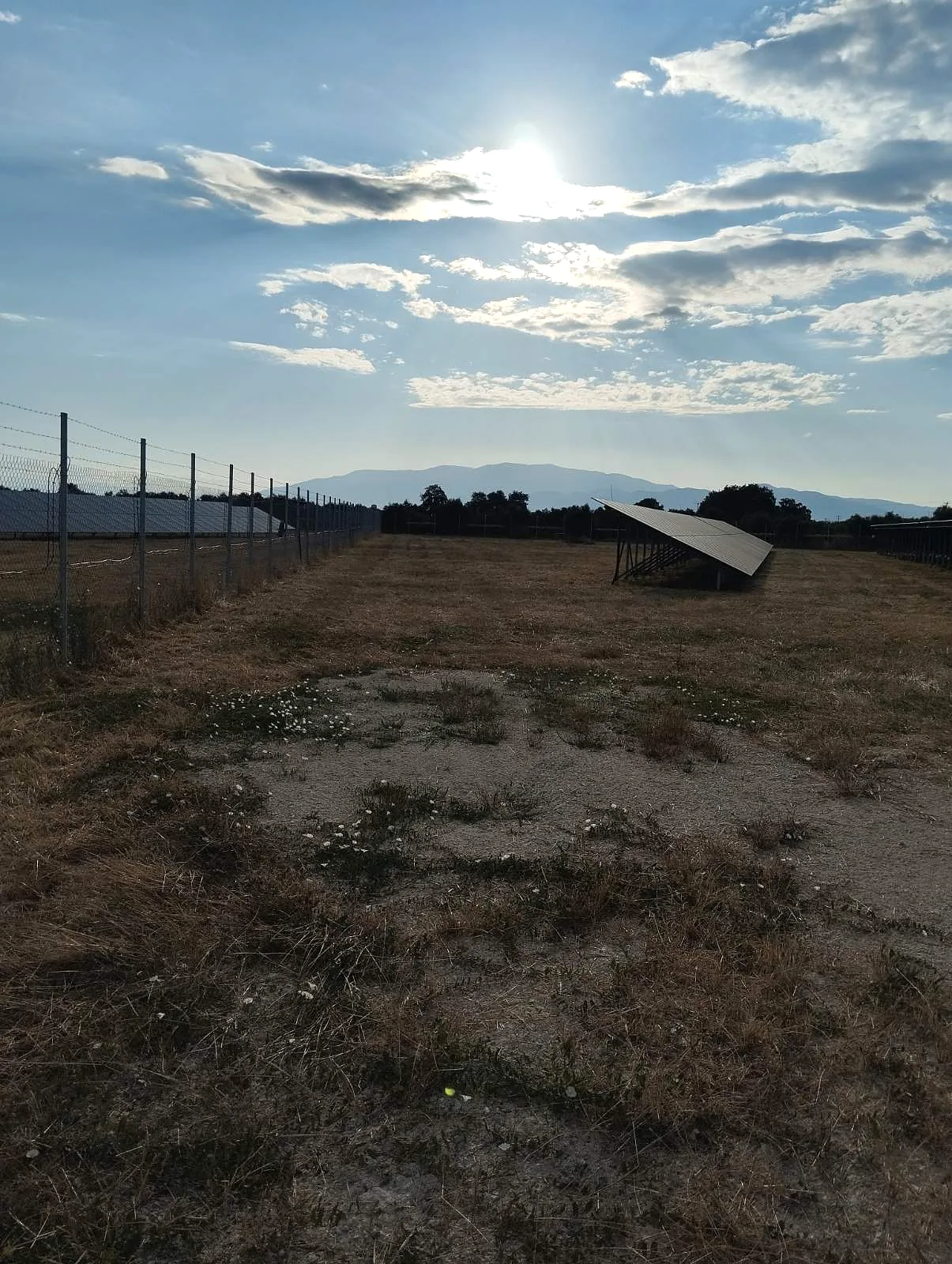 Συντηρημένη περίμετρος φωτοβολταϊκού σταθμού μετά την κοπή χόρτων